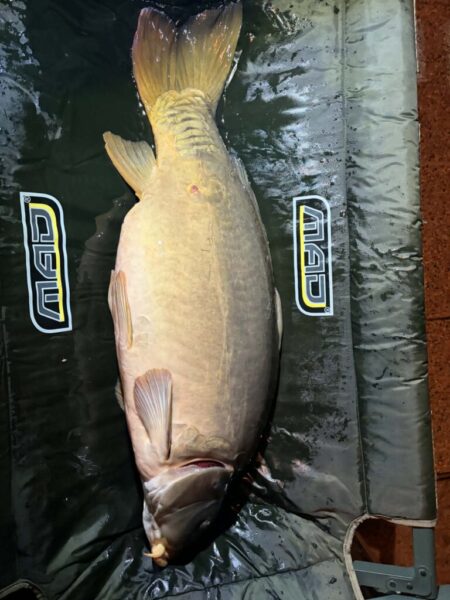 att.xvHF_50bZTKzMzDIsd1xMJylZ7tgVIwe5vEmnvdyyu4